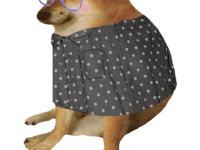 Presentación al compendio de relatos