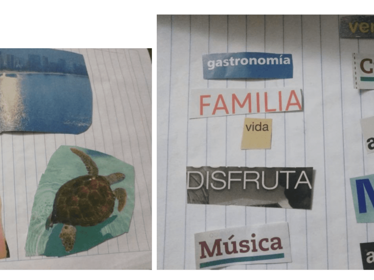 Regalo de un caparazón