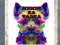 Memes Ka Tadka