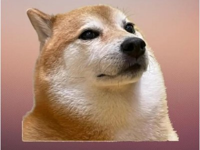 Imágenes para usar como foto de perfil parte 3